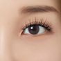 Kiss My Lash But Better Well Blended Multipack