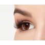 Ardell Studio Effects Wispies