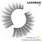 Lash Pop Lashes Honey Luv