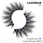 Lash Pop Lashes Purplicious